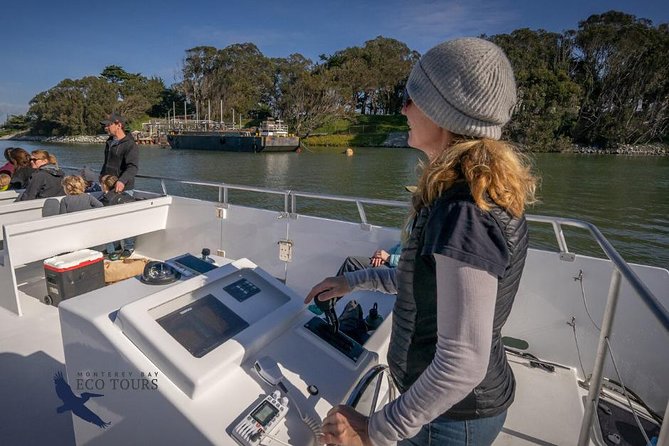 Elkhorn Slough Wildlife Tour - The Electric Catamaran: Quiet and Eco-Friendly