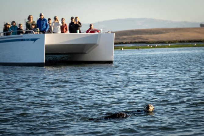 Elkhorn Slough Wildlife Tour - Practical Advice for Tour Participants