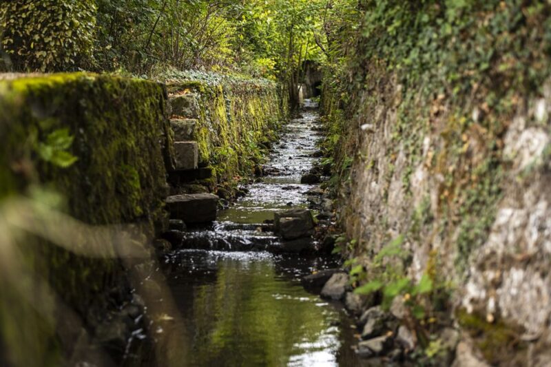 Eltville: Eberbach Monastery Entry Ticket - The Unique Optical Illusions Exhibition "VERTRICKST!"