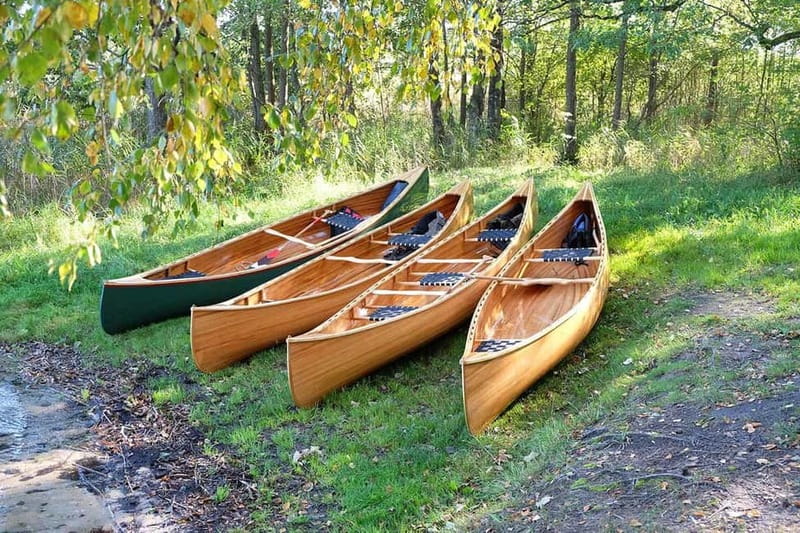 emaitija National Park: Full-Day Canoe Tour with Picnic - The Sum Up: The Perfect Day on Lake Zemaitija