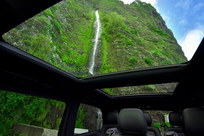 Set out on a Luxurious Private Journey: Unveiling the Madeira Best - The Guide and the Journey’s Pace