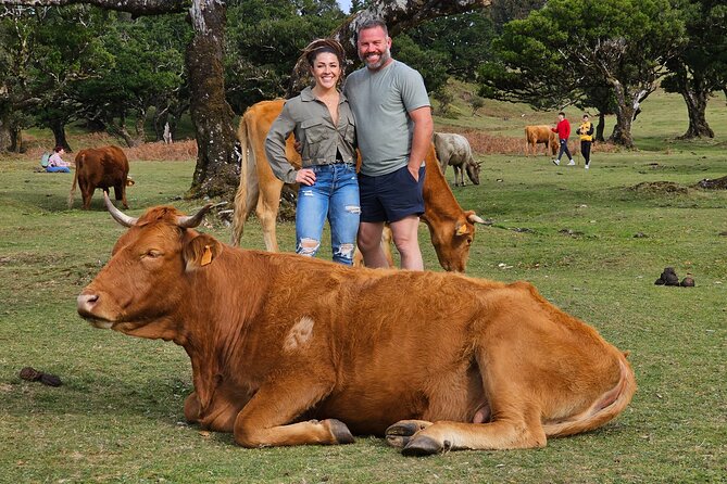 Set out on a Luxurious Private Journey: Unveiling the Madeira Best - The Setting: From Rainforests to Coastlines and Deserts