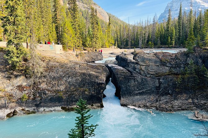 Emerald Lake,Natural Bridge, Wapta Falls & Takakkaw Falls in Yoho - Experience the Beauty of Yoho on a Full-Day Tour from Banff for $118