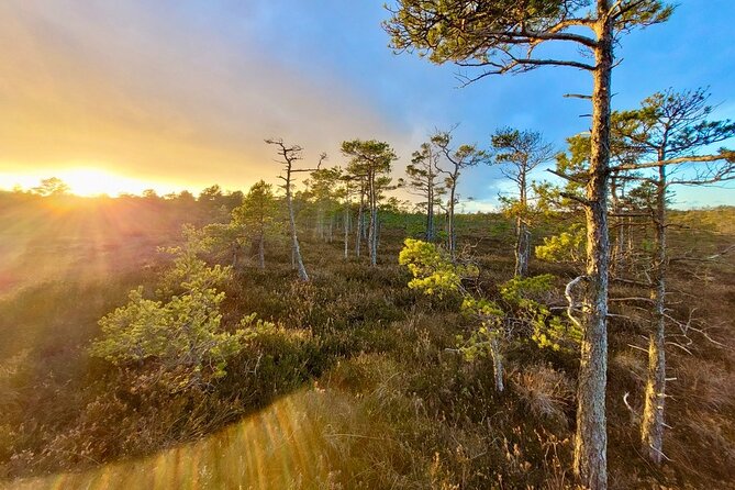 emeri Bogs Adventure: Explore Wetlands In Bog Shoes - Practical Details and Physical Requirements