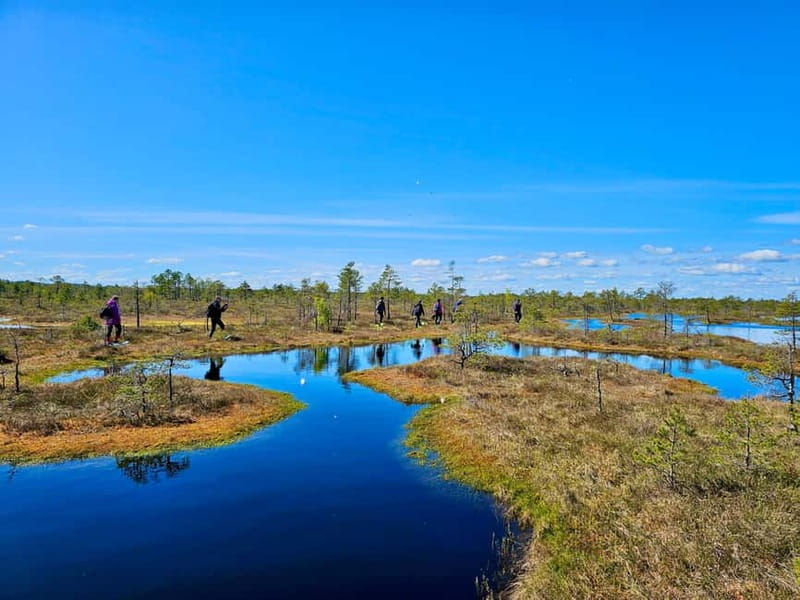 emeri Bogs Adventure: Explore Wetlands In Bog Shoes - Discover the Untamed Beauty of emeri Boglands