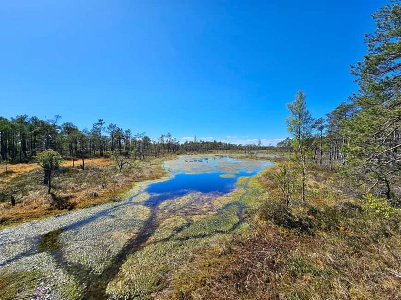 emeri Bogs Adventure: Explore Wetlands In Bog Shoes - Frequently Asked Questions