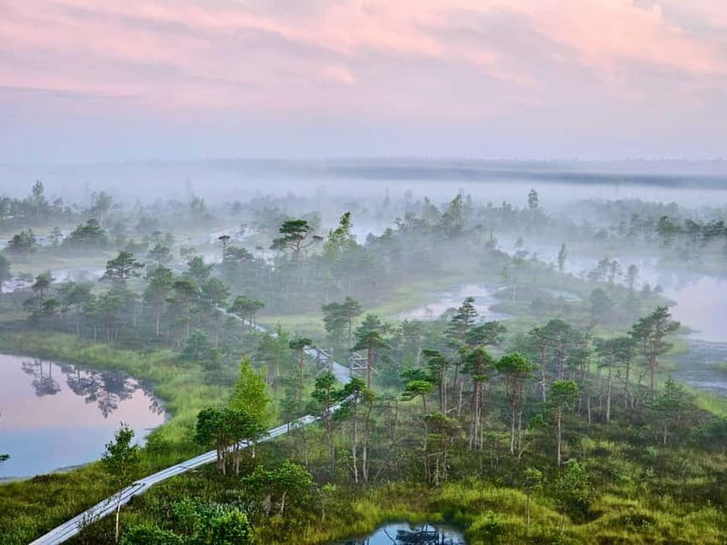 emeri Great Bog With Optional Sunrise & Jrmala Visit - The Great Kemeri Bog and Its Location