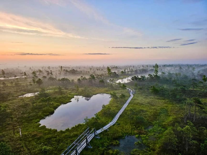 emeri Great Bog With Optional Sunrise & Jrmala Visit - Why Choose This Tour in Latvia