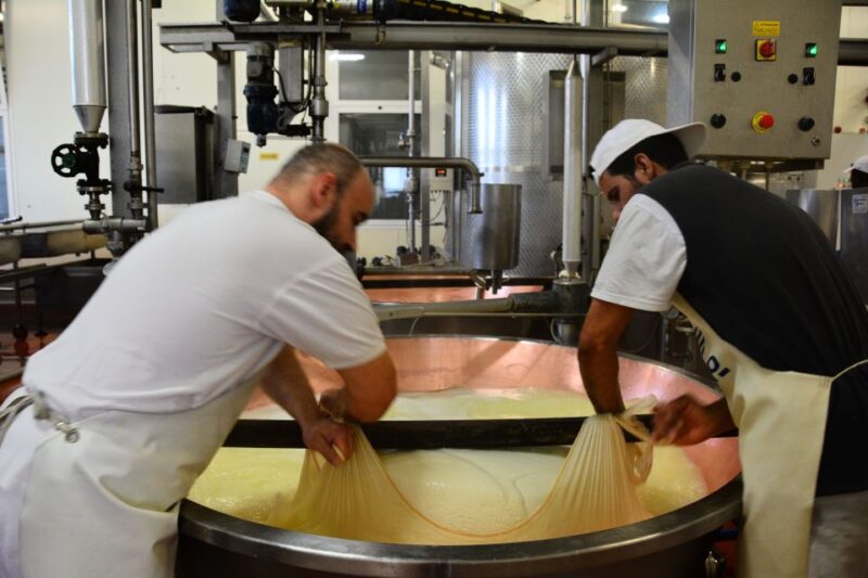 Emila-Romagna: Parmigiano, Prosciutto, Wine & Balsamic Tour - Exploring the Balsamic Vinegar Production Estate