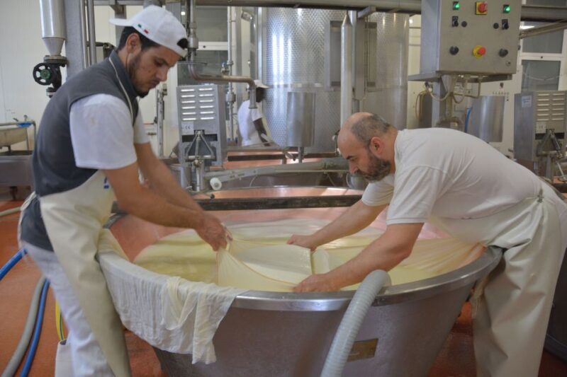 Emila-Romagna: Parmigiano, Prosciutto, Wine & Balsamic Tour - The Itinerary’s Pacing and Duration