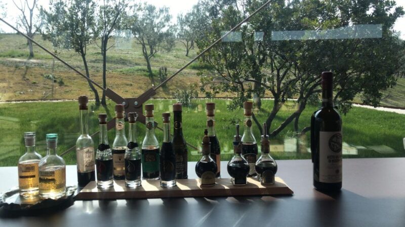 Emila-Romagna: Parmigiano, Prosciutto, Wine & Balsamic Tour - Practical Tips and Accessibility