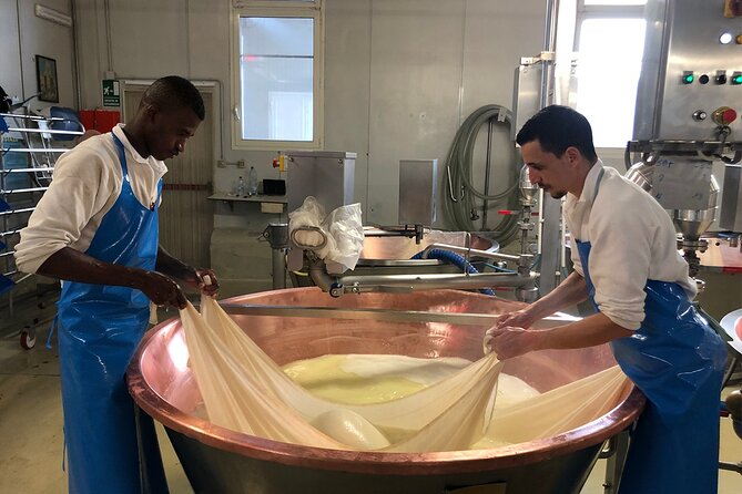 Emilia Flavors: Parmigiano, balsamic, cured meats & wines - Key Points