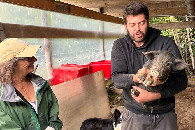 Emilian Mountains: Local Flavours, Castle & outdoors - Learning the Art of Balsamic Vinegar Production