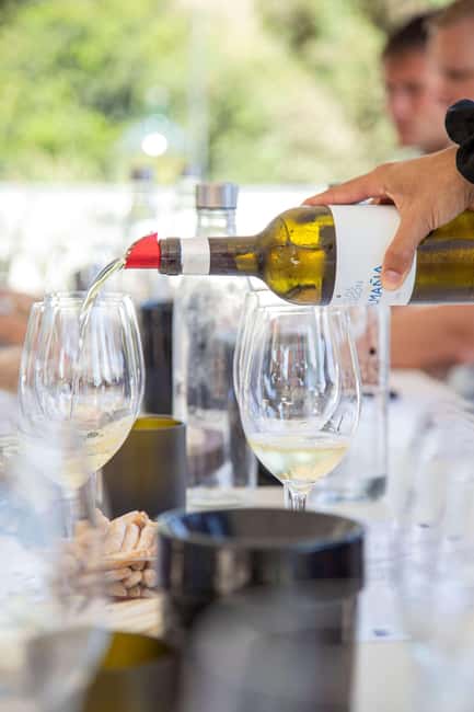 Empordà: Clos d'Agon wine tour and tasting on the Costa Brava - Tasting on the Terrace with Sea Views