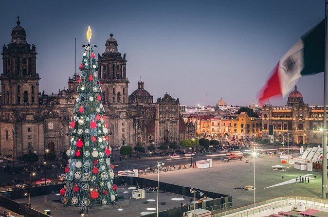Enchanted Christmas Private Walking Tour in Mexico City - Flexibility and Personalization of the Private Tour