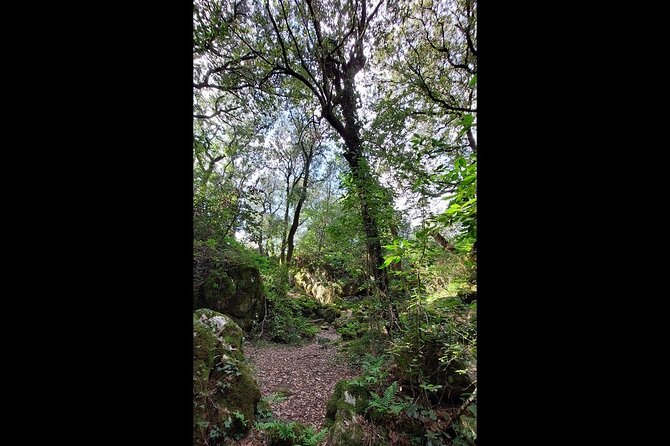 Enchanted Forest Hike and Wine Tasting Private Tour - The Scenic Viewpoint Above Korcula Town