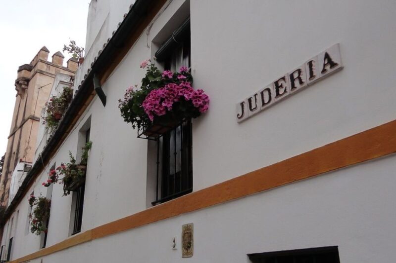 Enchanted Seville Walking Tour - Starting at Plaza del Triunfo, and Exploring Sevilles Historic Heart