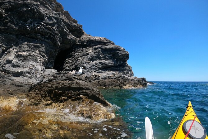 Enchanting Semi Private Kayaking Tours in Milos - What’s Included in the Tour