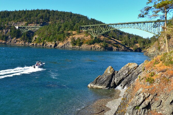 Enchanting Zipline , Camano Island and Deception Pass Tour - Transportation and Group Size: Comfortable and Intimate
