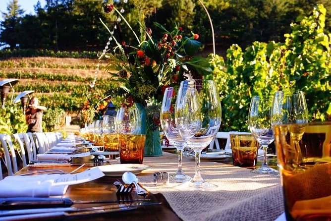 Enjoy a meal with wine tasting in the vineyard of Podere Casanova - Discover the Authentic Charm of Podere Casanova in Montepulciano