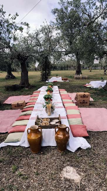 Enjoy a picnic with local products and wine in the Apulian countryside - Sampling Authentic Apulian Delicacies