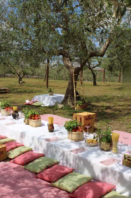 Enjoy a picnic with local products and wine in the Apulian countryside - The Organization and Setup of the Picnic