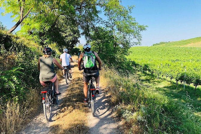 Enjoy a Wine Tasting after a cycling excursion in the magic of Tuscany - Discover Tuscany’s Charm on a Bicycle and Wine Tour in Montepulciano