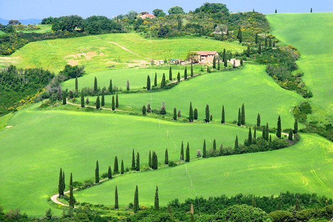 Enjoy a Wine Tasting after a cycling excursion in the magic of Tuscany - Authentic Tuscan Lunch with Local Cuisine