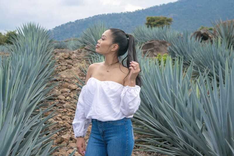 Enjoy an exclusive Tequila Tour with a Tequila Master - Final Thoughts on the Tequila Master Experience