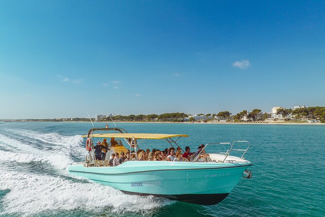 Enjoy crystal clear waters for 2 hours - Scenic Highlights and Panoramic Views