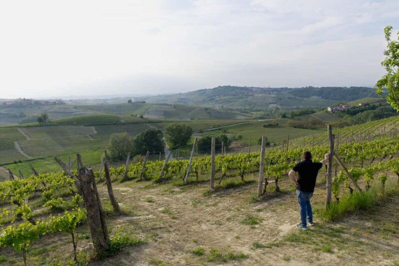 Enjoy Monferrato: A Wine Experience - Authentic Wine Experience with Family-Led Tours in Piedmont