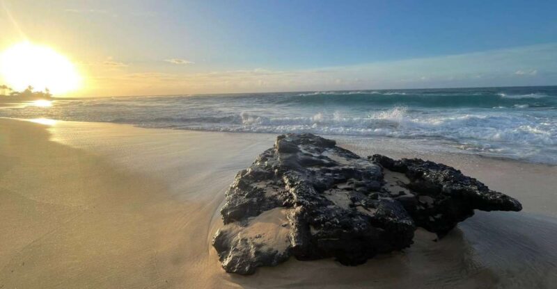 Enjoy Private Professional Photo Tour in Honolulu Island - Dive Into Iconic Honolulu Sights and Hidden Gems