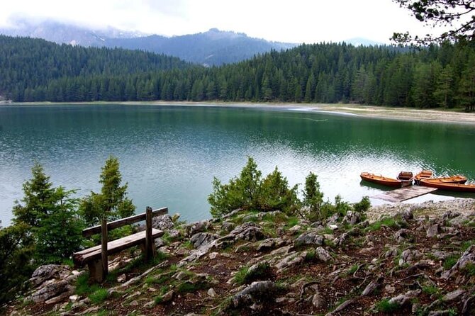 Enjoy Private Transfers by Car or Van from Tivat Airport to Kotor or Budva - Booking Process and Availability