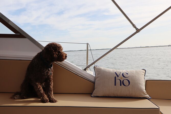 Enjoy the lagoon - 3-hour private tour - Enjoy Prosecco and Venetian Appetizers on Board