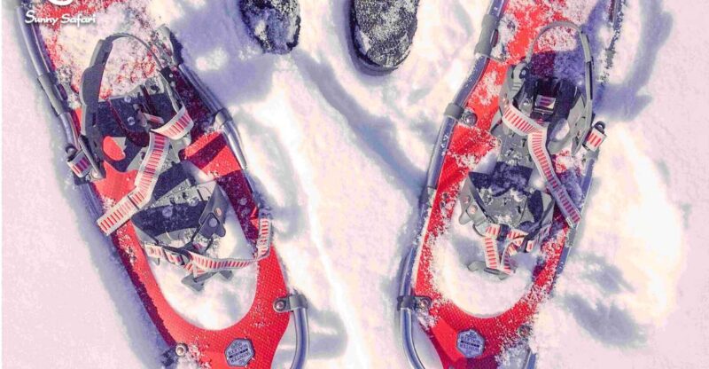 Enjoy the Local Favorite in One Day - Snowmobile Safari into Arctic Wilderness