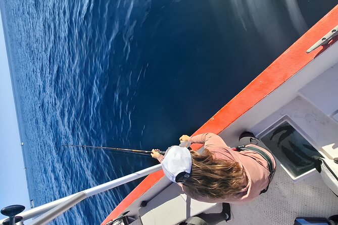 Enjoy the sport fishing paradise in Loreto, BCS - Wildlife Encounters and Marine Life Sightings