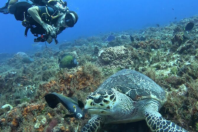 Enjoy two dives without previous experience with a boat trip - Food and Rest Breaks Between Dives