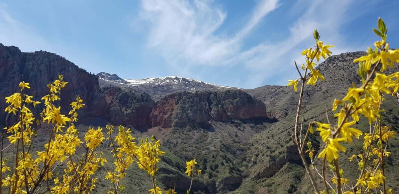 Enlightened Armenia: Echmiadzin, Khor Virap, Noravank, Areni - Practicalities: Transport, Guide, and Group Size