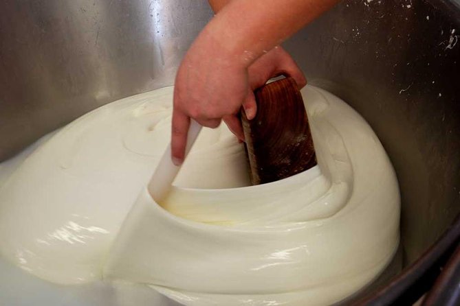 Enogastronomic Day in a Farm - Tasting of local products - Key Points