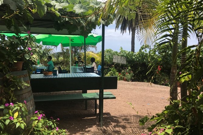 Enogastronomic Tour- 4 hours in Tenerife - Practical Considerations and Tips