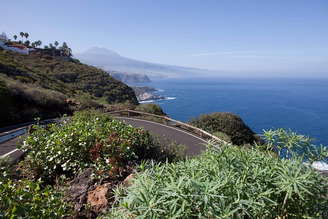 Enogastronomic Tour- 4 hours in Tenerife - Suitable Audience for This Tour
