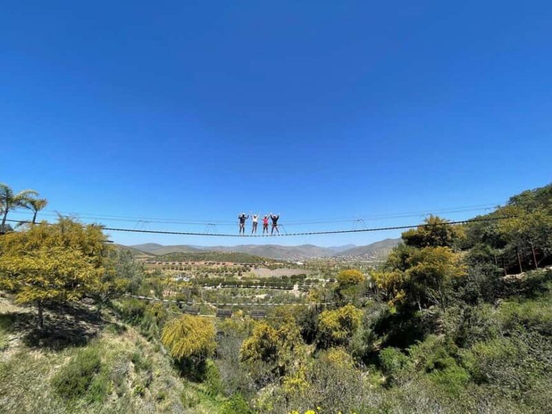 Ensenada: A thrilled family adventure of ziplines - Ensenada’s Scenic Drive and Local Highlights