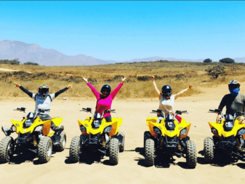 Ensenada: ATV and Zip Line Adventure Tour - The Provider’s Reputation and Overall Value