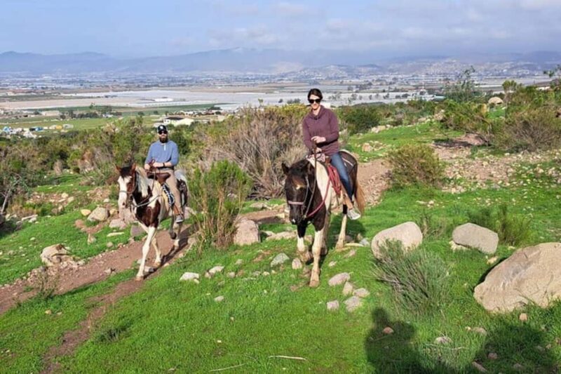 Ensenada: Bajas Hidden Trails: Horseback Ride w/ Ocean View - Explore Ensenada’s Scenic Trails on Horseback for $55