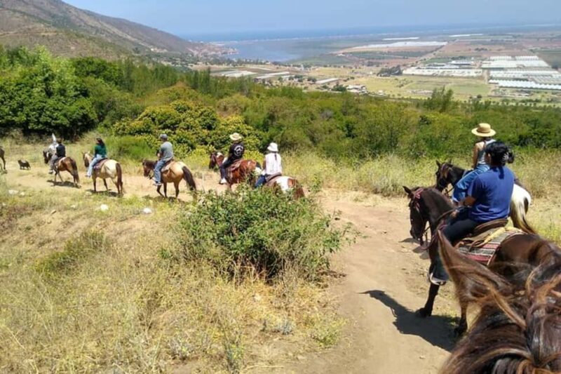 Ensenada: Bajas Hidden Trails: Horseback Ride w/ Ocean View - What Makes the Bajas Hidden Trails Horseback Ride Unique