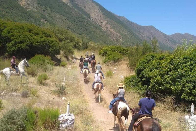 Ensenada: Bajas Hidden Trails: Horseback Ride w/ Ocean View - Physical Requirements and Accessibility Considerations