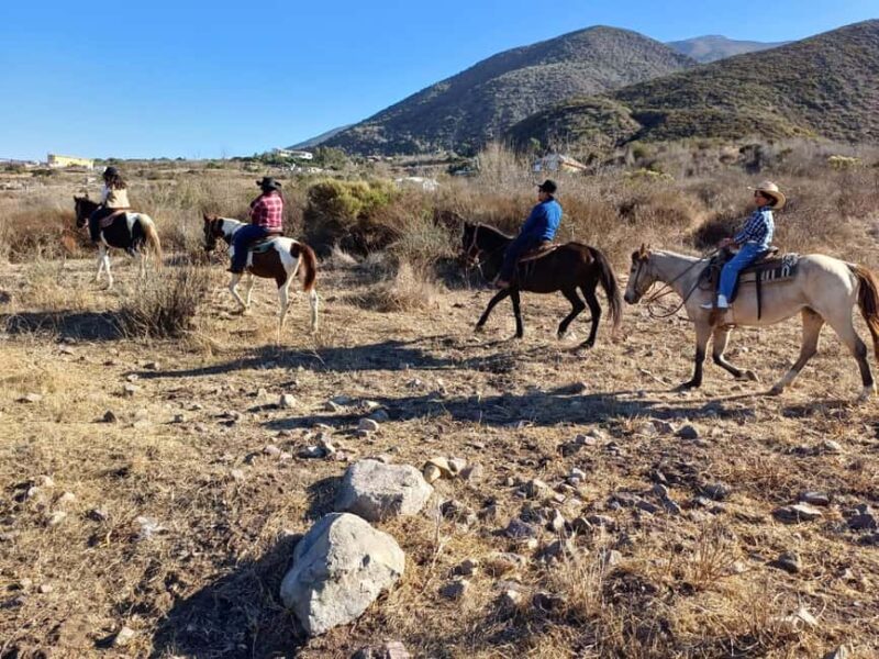 Ensenada: Bajas Hidden Trails: Horseback Ride w/ Ocean View - Scenic Stops and Photographic Opportunities