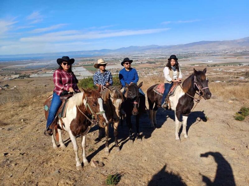 Ensenada: Bajas Hidden Trails: Horseback Ride w/ Ocean View - The Guide and Tour Experience