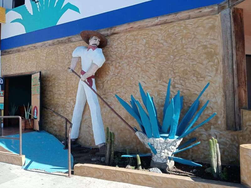 Ensenada: City Tour & Beach Horseback Ride - Flexibility with Booking and Cancellation