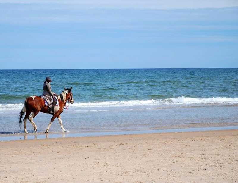 Ensenada: Horseback riding in the beach - Experience the Tasty Tacos in Ensenada